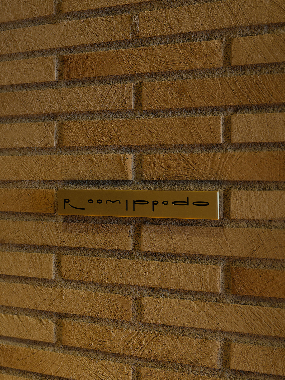Article Image 1