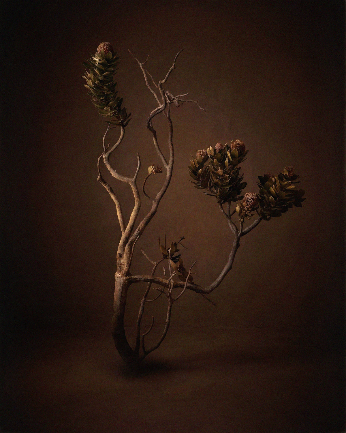 Article Image 2
