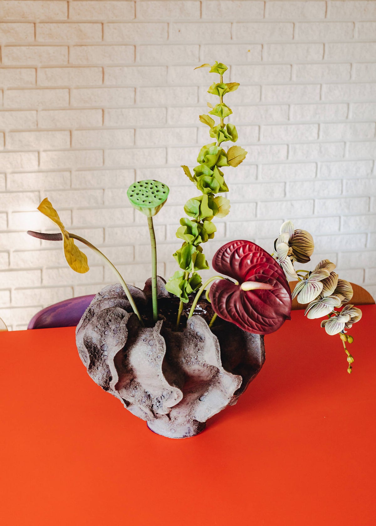 Article Image 12